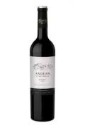 Andean Vineyards - Andean Malbec 2019 (750)