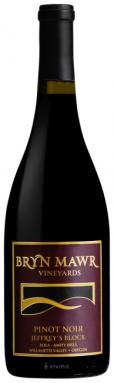 Bryn Mawr Vineyards - Jeffrey's Block Pinot Noir 2018 (750ml) (750ml)