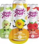 Drunk Fruit - Hard Seltzer Variety Pack 2012 (62)